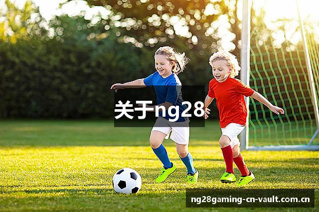关于ng28